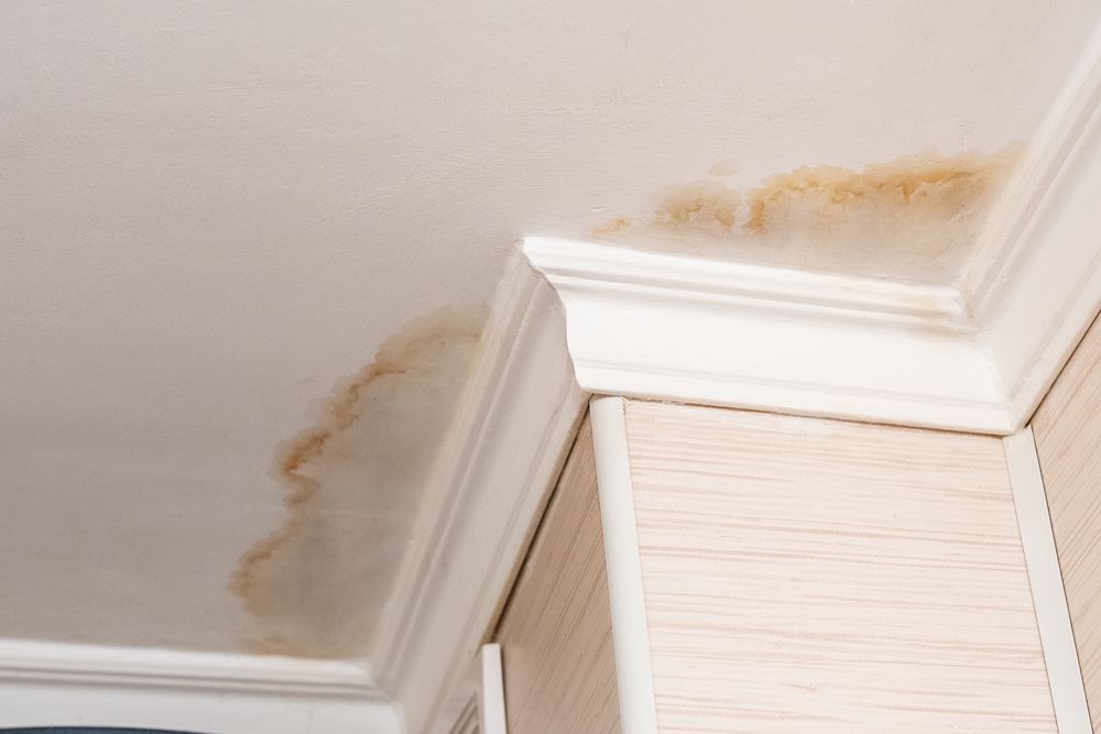 Stains on the Ceiling